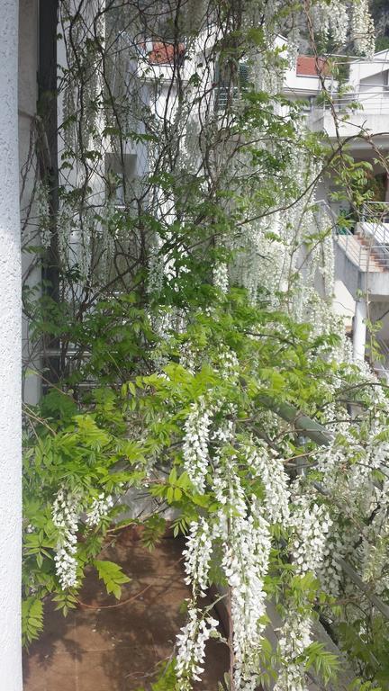 Roman Gardens Studio Apartment Рісан Екстер'єр фото